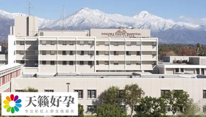 美国三代试管成功率多少