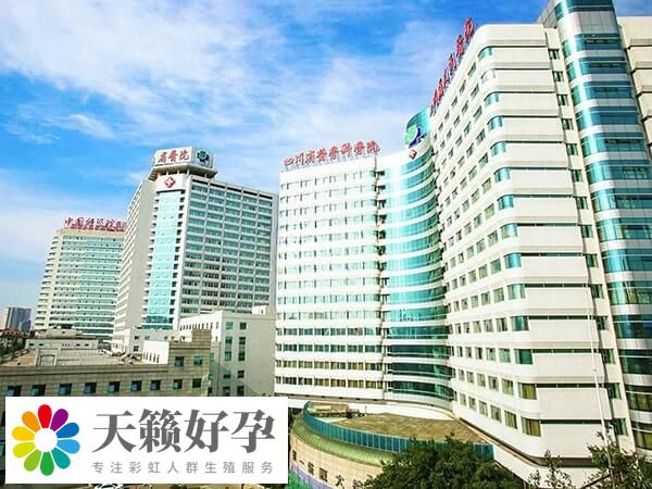 成都试管成功率多少