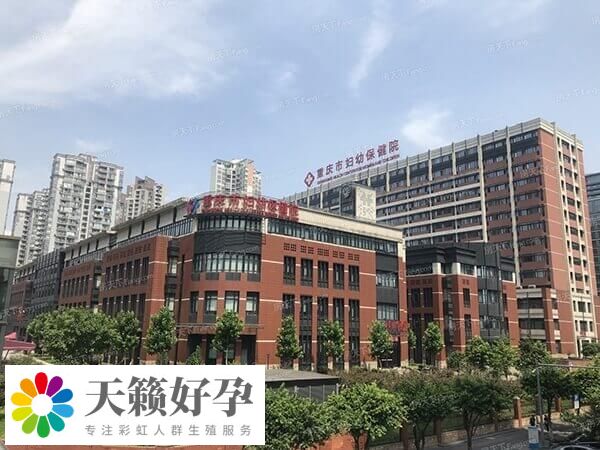 重庆三代试管成功率多少