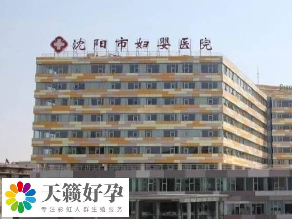沈阳三代试管成功率多少