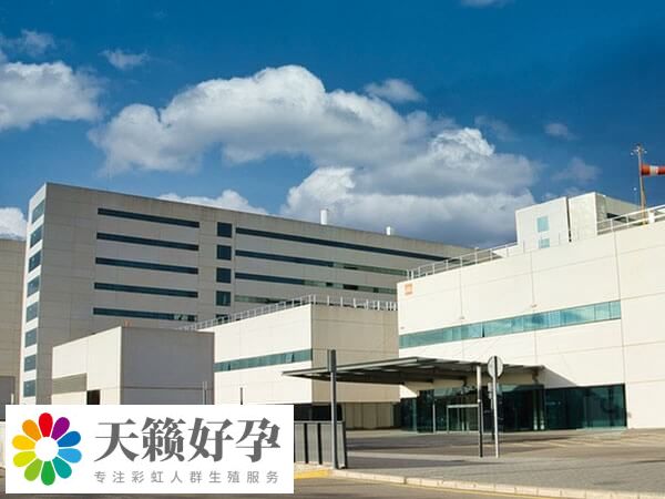 上海十院试管成功率多少