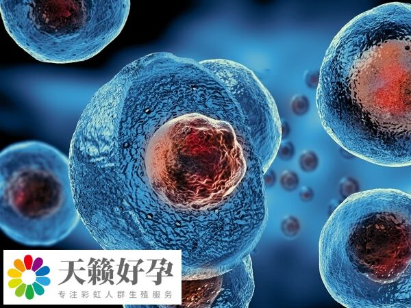 福州总院试管婴儿费用