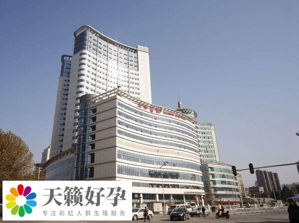 武汉大学人民医院是一所三甲综合医院