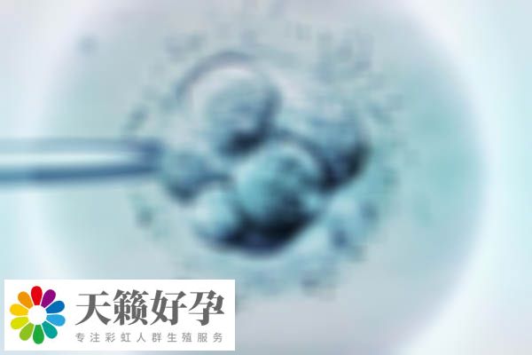 已生宝宝的说说，t卵p生的孩子会像p吗？