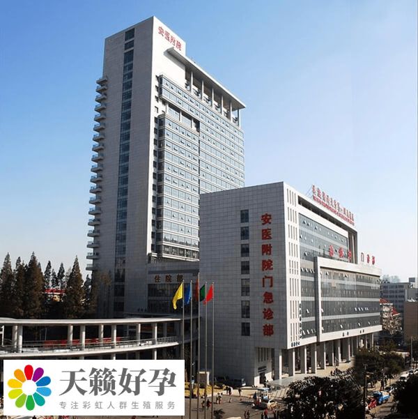 安医附院生殖中心