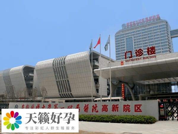 高龄一代试管成功率多少