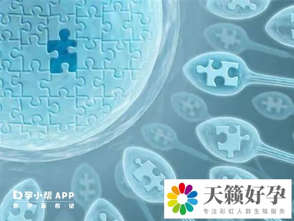 做试管前做检查是非常重要的