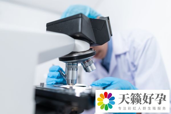试管婴儿的全部流程及费用