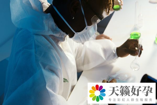 试管婴儿成功率多高