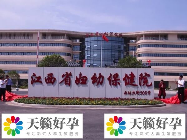 d1b55544a2e28ed0f777c47844bb5586_1-241105164424H7.png
