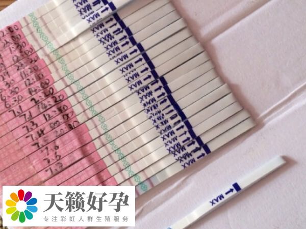排卵试纸使用前阅读说明书很重要