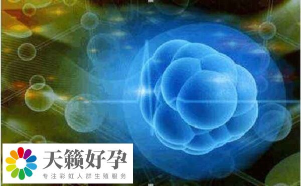 人工周期和自然周期哪个好