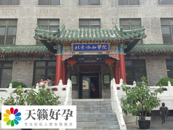 北京协和试管双胞胎促排卵费用约4.5-6.5千元