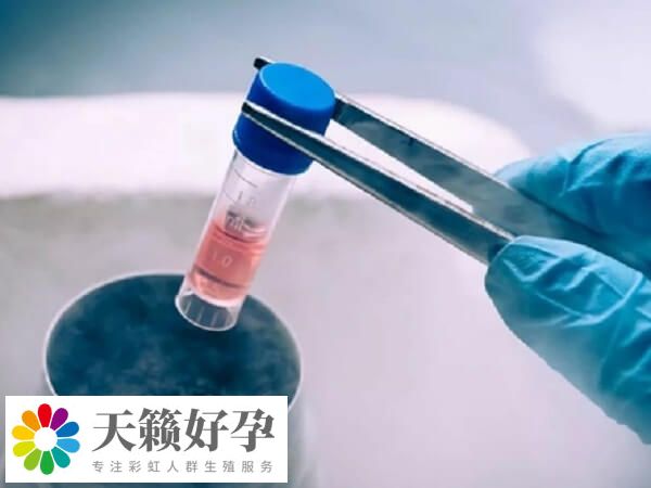 移植冻胚自然周期方案不打降调