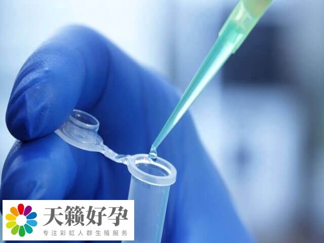 试管移植成功率影响因素多