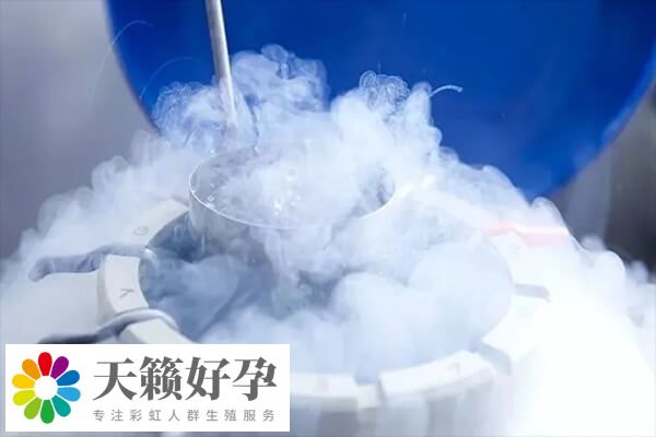 冻胚移植后激素水平会改变