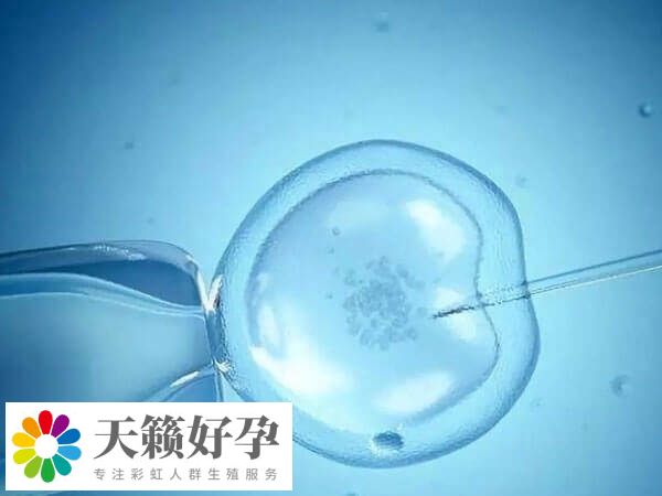 试管婴儿可能不受精