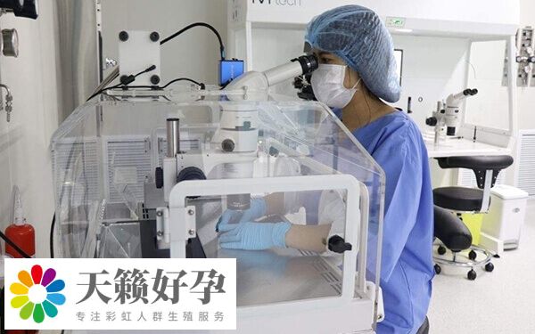 卵子质量差会影响受精
