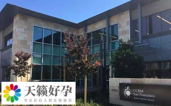 美国支持单身试管婴儿