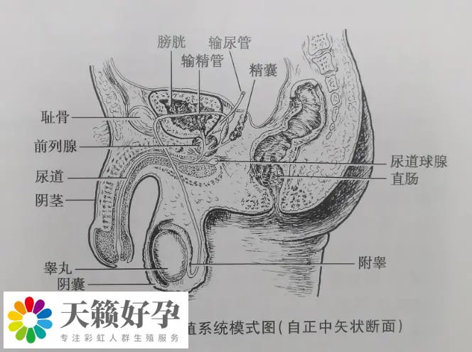 e1c5d669f015c1ce7e21978523ffdae4_285c57a05c871f702bf1aa2cd7d61769.jpg
