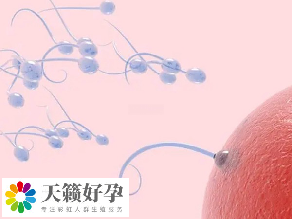 生殖科促排要不孕不育证明