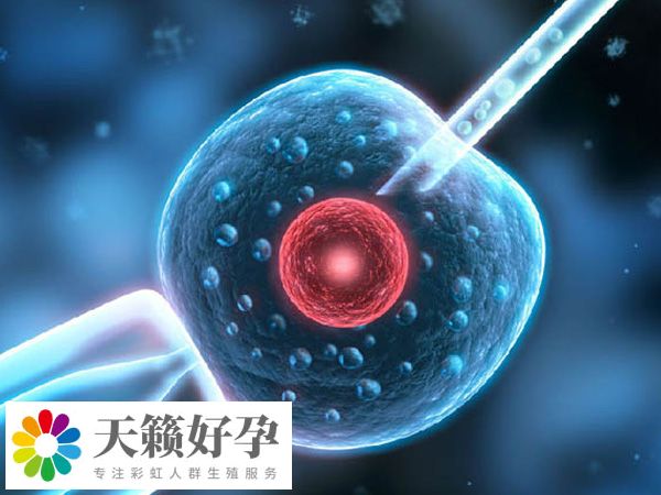 人工授精失败转试管必须要取卵