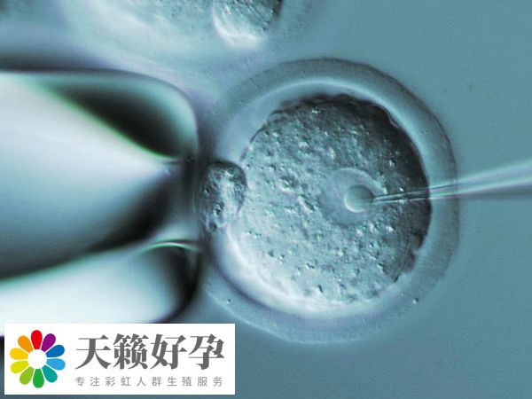 胚胎着床时间通常为7-14天