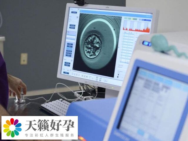 年龄是试管婴儿成功与否的重要因素