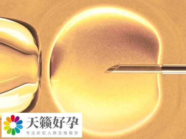 促排卵质量差可能是垂体问题
