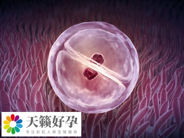 试管移植失败要注意调整积极向上的心情