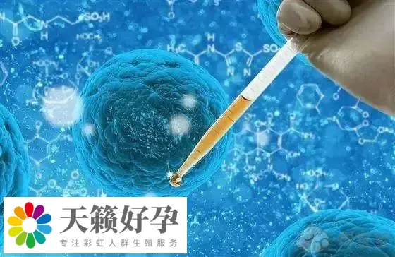 做试管婴儿选择医院重要吗,这几点是必须要了解清楚