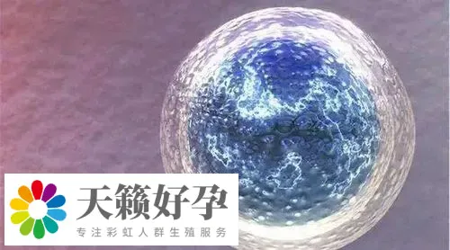 助孕机构做三代试管产子多少钱,费用清单新鲜出炉