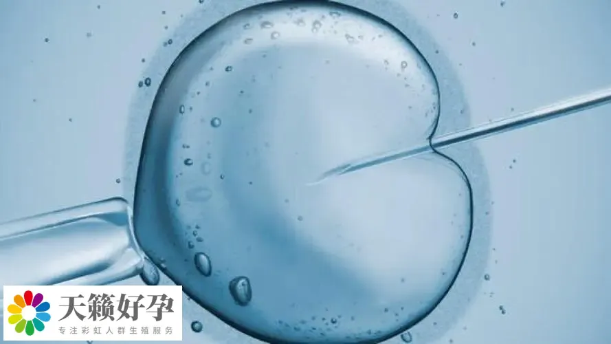 助孕机构做三代试管产子多少钱,费用清单新鲜出炉