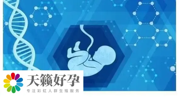 重庆女同可以做试管婴儿的机构有哪些?费用大概需要多少?