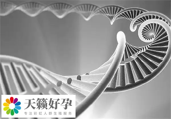 俩个女人做试管能怀孕吗?附女同广州供精三代试管费用介绍