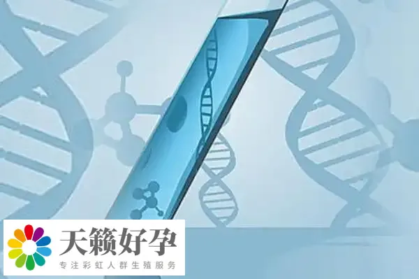 俩个女人做试管能怀孕吗?附女同广州供精三代试管费用介绍