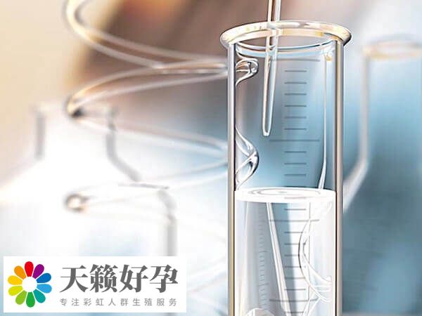 提高卵子质量可提高试管成功率