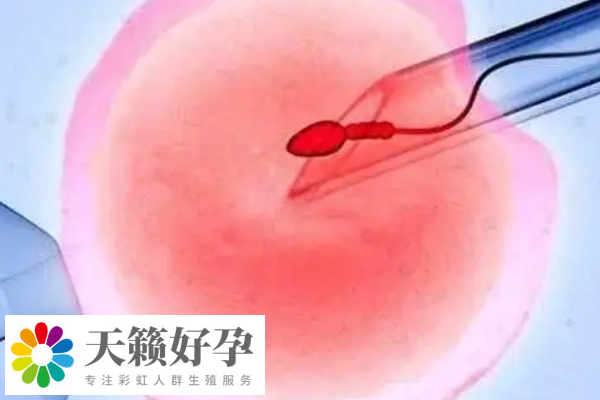 泰国的高龄试管技术备受关注