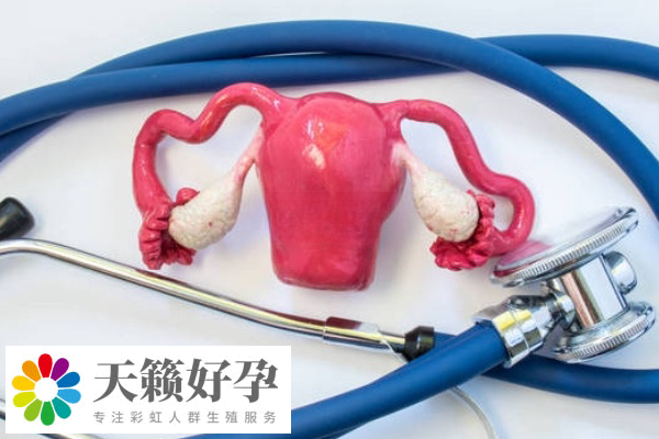 反复胎停做试管成功率在40%-60%