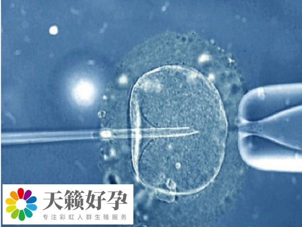 二代试管的成功率大概在40%-50%