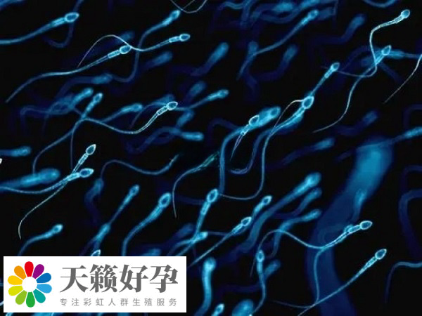 精子数目过低适用于二代试管