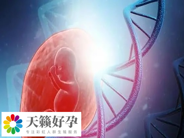 35岁以上女性申请供精试管要查染色体