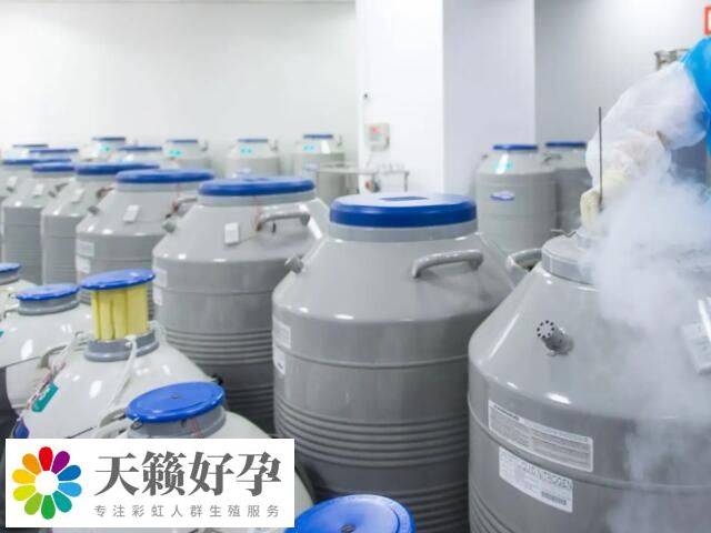 供精不能选精源