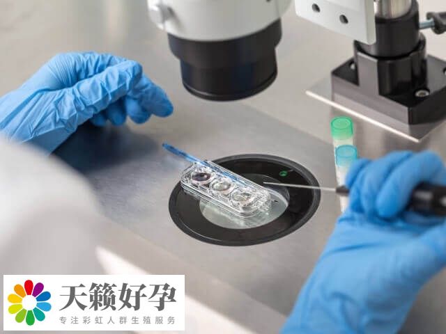 试管助孕时间约为2-3个月
