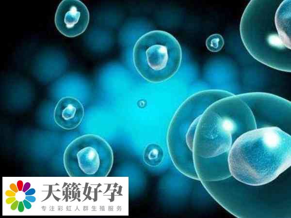 促排卵效果因人而异