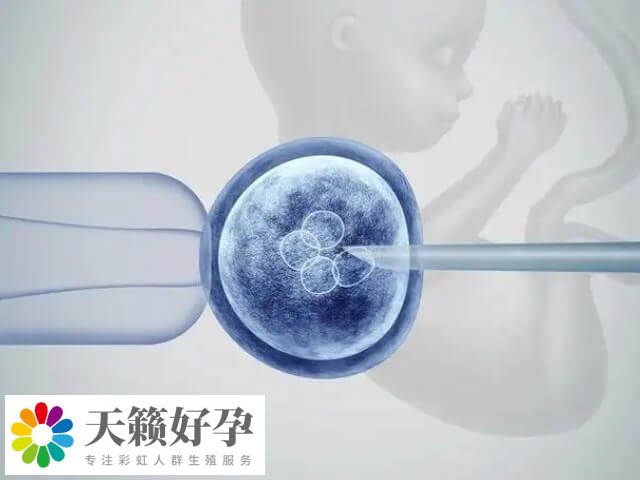 试管婴儿的次数在理论上没有严格的限制