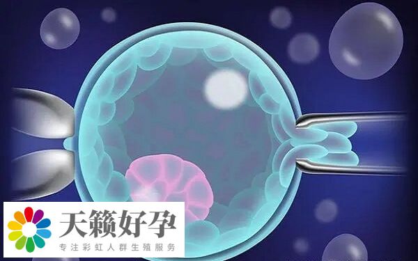 试管治疗期间要注意改善生活习惯