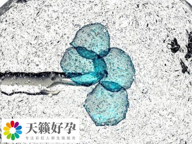 二代试管成功率高