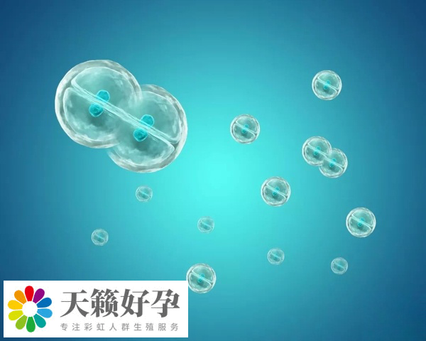 胚胎移植的数量受到严格的控制