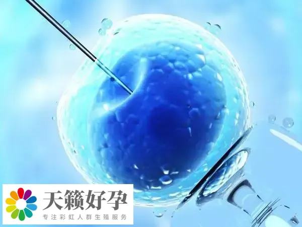 移植前暖宫可能会提高成功率